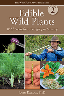 Edible Wild Plants: Wild Foods From Foraging to Feasting – Features and ...